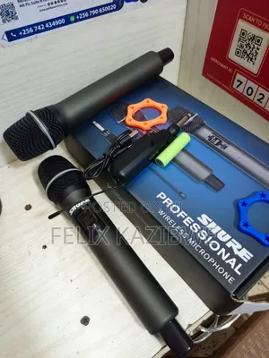 Shure Professional Wireless Microphone