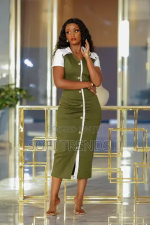 Ladies Classic Office Dresses