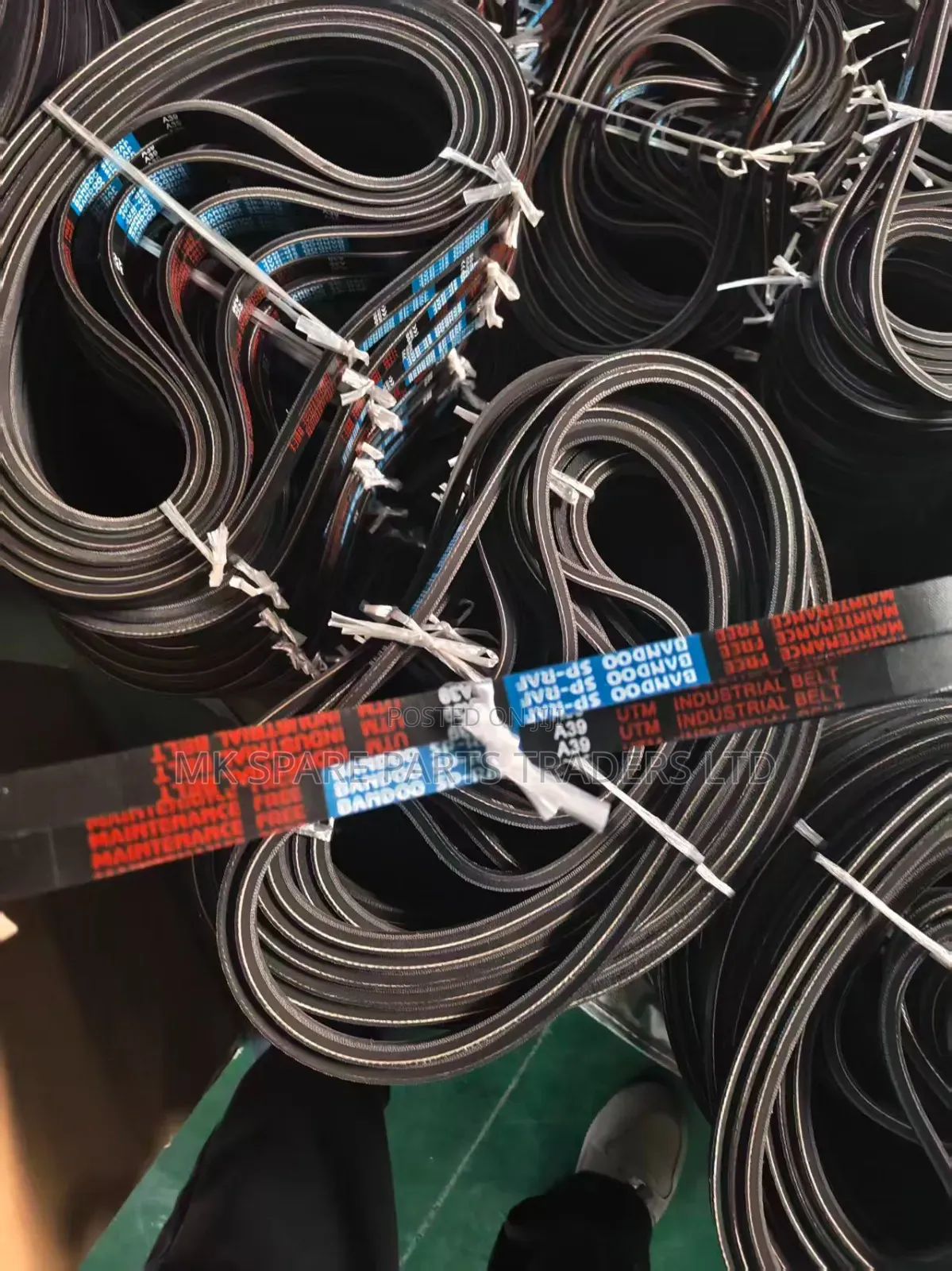 Motor Belts