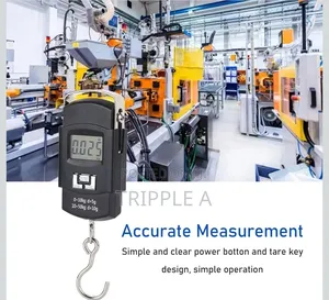 Hand Weighing Scale