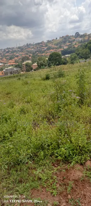 Lake View Plots for Sale Located Akright Ntebe Road Is Good Plot