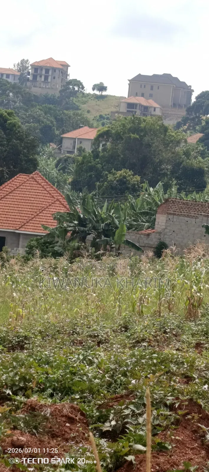 Lake View Plots for Sale Located Akright Ntebe Road Is Good Plot