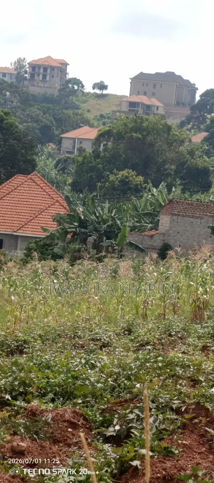 Lake View Plots for Sale Located Akright Ntebe Road Is Good Plot