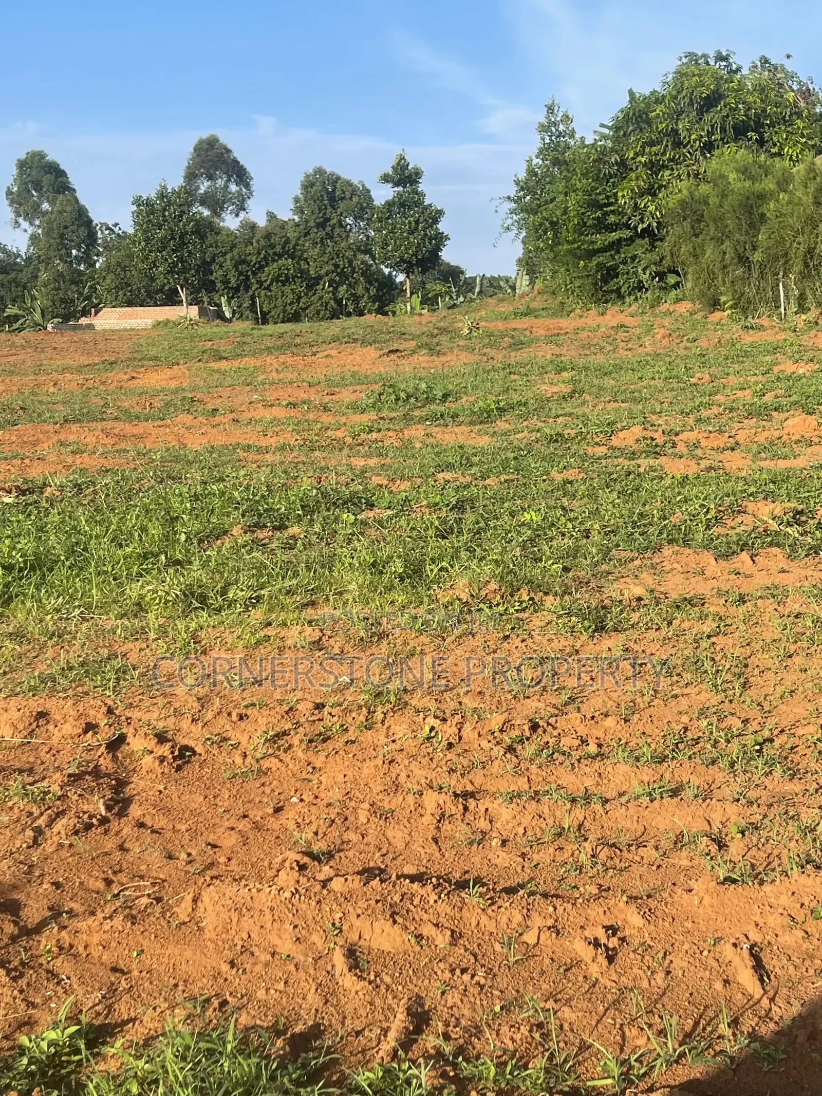 Affordable Nakawuka Estate Plots on Quick Sale!