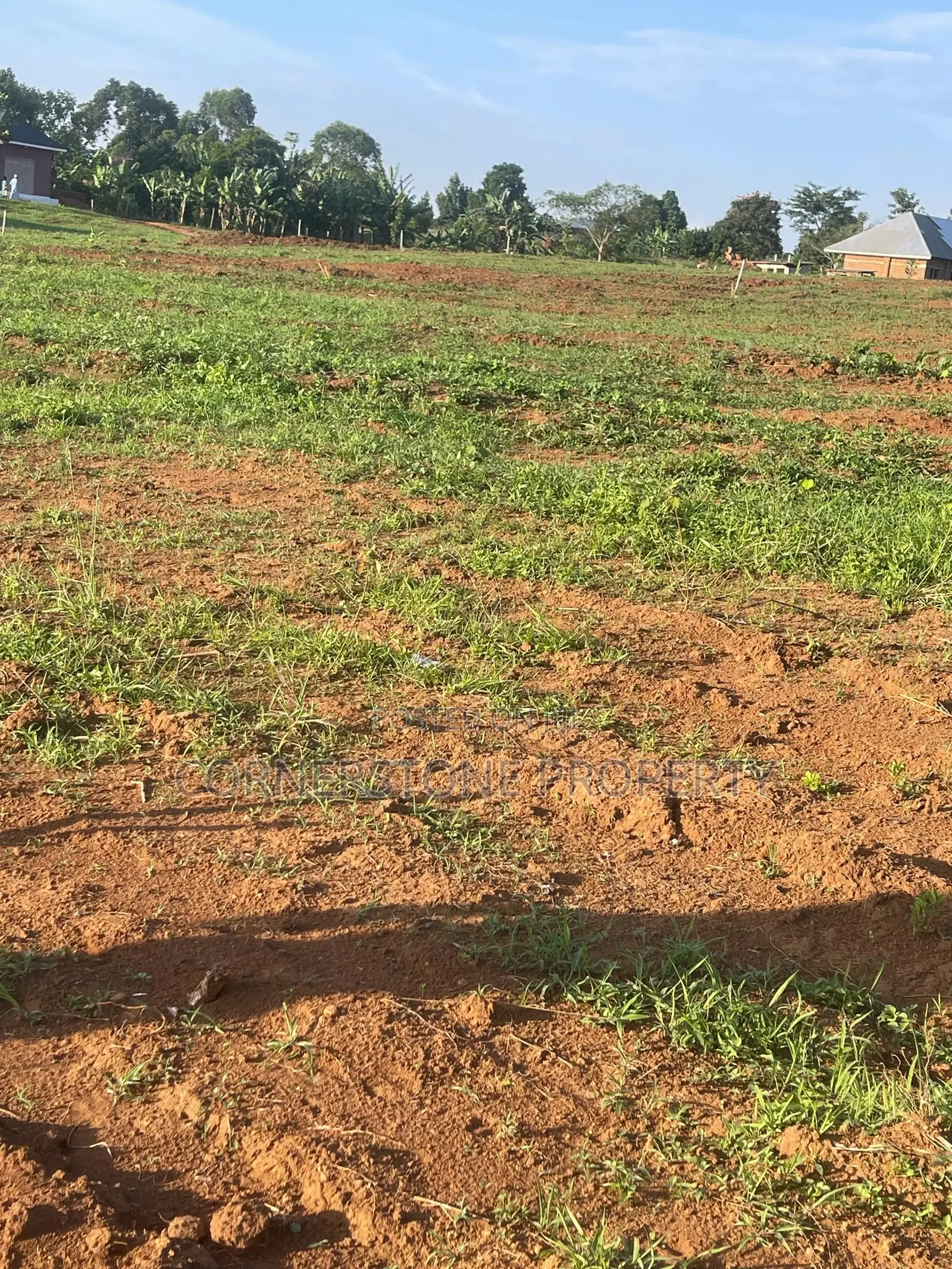Affordable Nakawuka Estate Plots on Quick Sale!