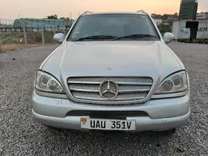 Mercedes-Benz M Class 2004 Silver