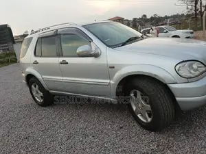 Mercedes-Benz M Class 2004 Silver