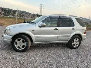 Mercedes-Benz M Class 2004 Silver