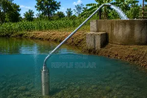 370w AC Borehole Water Pump 80m Deep Well Submersible Pump
