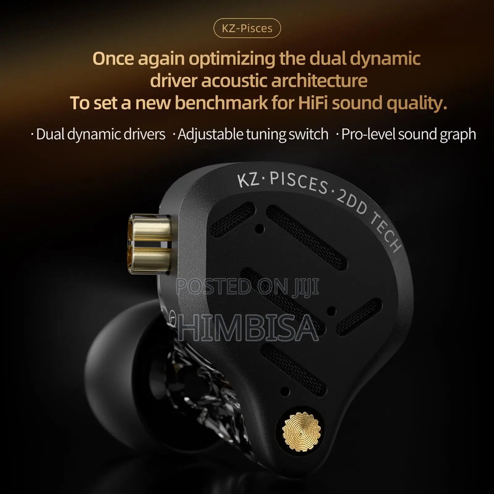 Zk ZSN Pisces in Ears (With Switches)