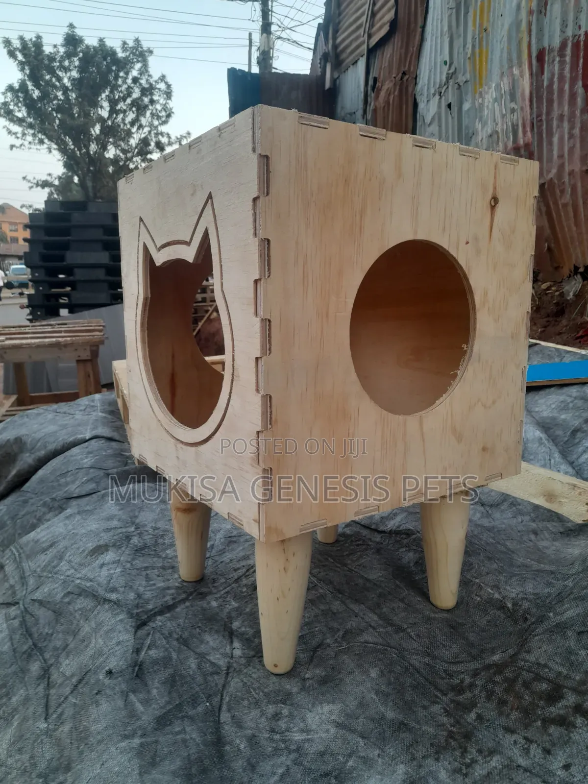 Cat Houses