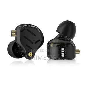 Zk ZSN Pisces in Ears (With Switches)