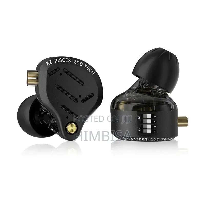 Zk ZSN Pisces in Ears (With Switches)