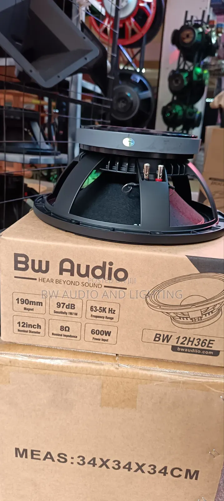 12 Inches Speaker 