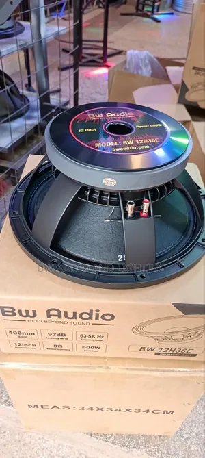 12 Inches Speaker 