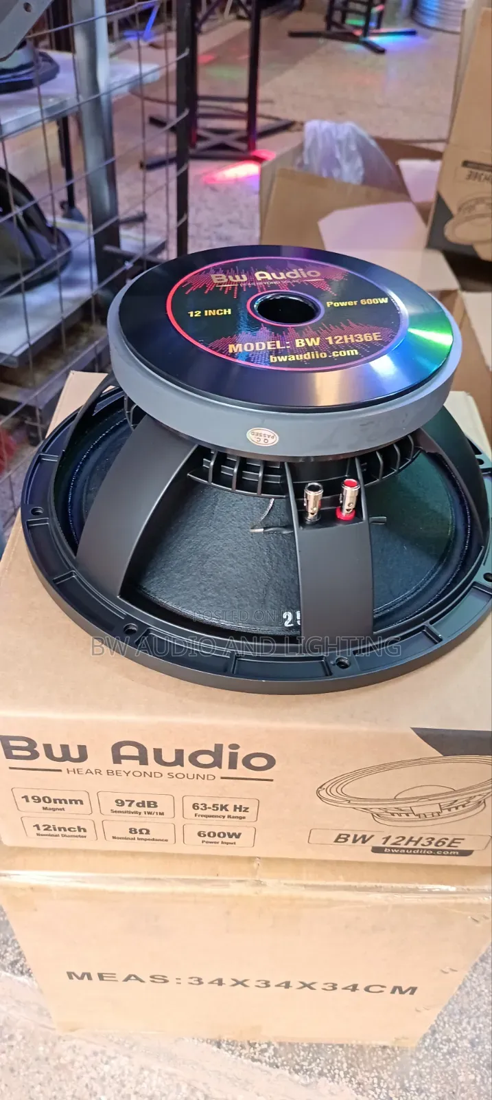 12 Inches Speaker 