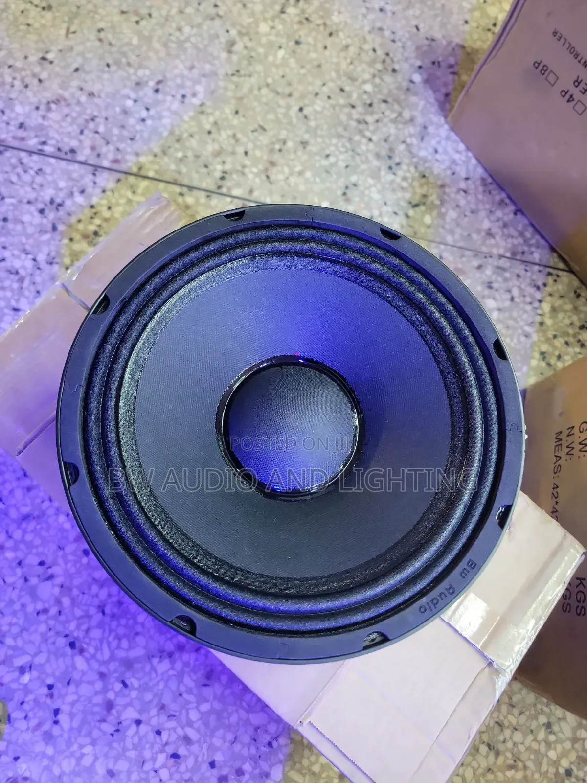 10 Inch Speakers 600w 