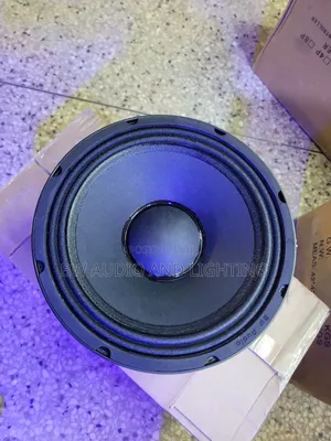 10 Inch Speakers 600w 