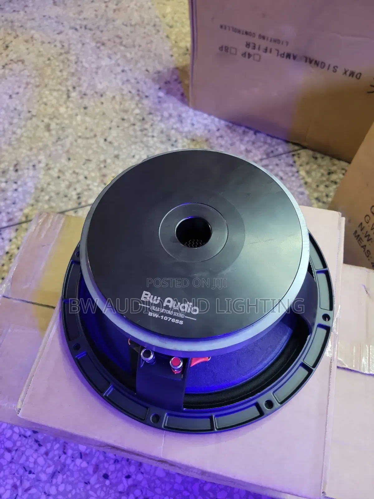 10 Inch Speakers 600w 