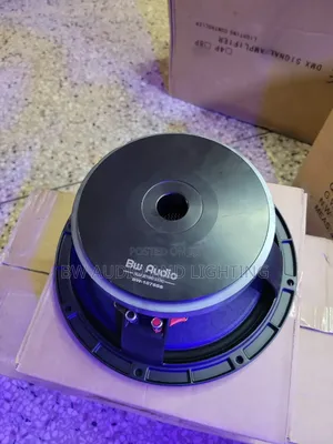 10 Inch Speakers 600w 