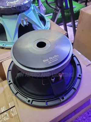 10 Inch Speakers 600w 