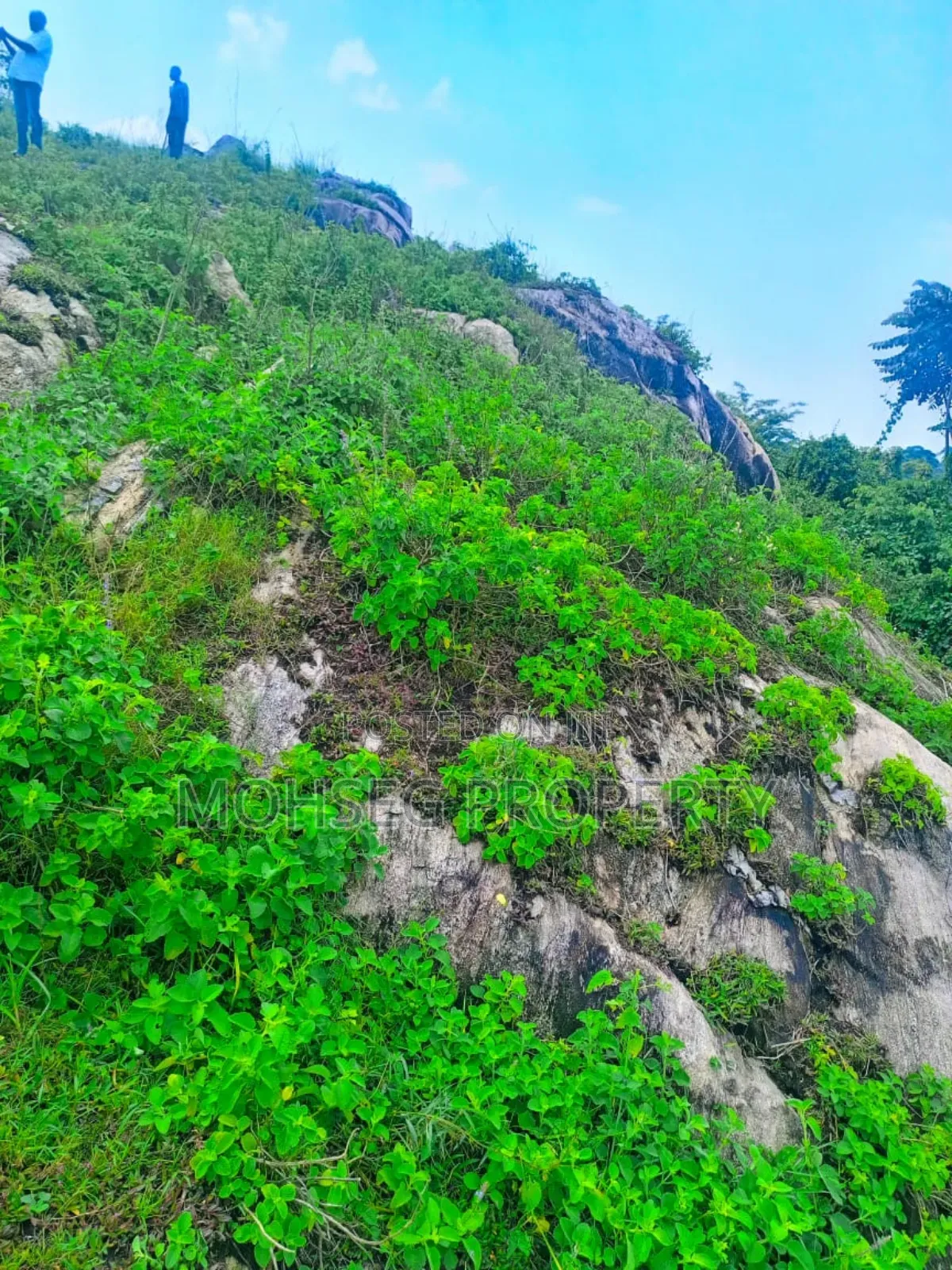 17 Acres of Strategic Rock Land in Mukono