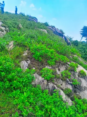 17 Acres of Strategic Rock Land in Mukono