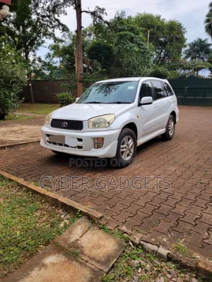Toyota RAV4 2004 White