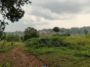 Gayaza Land for Sale