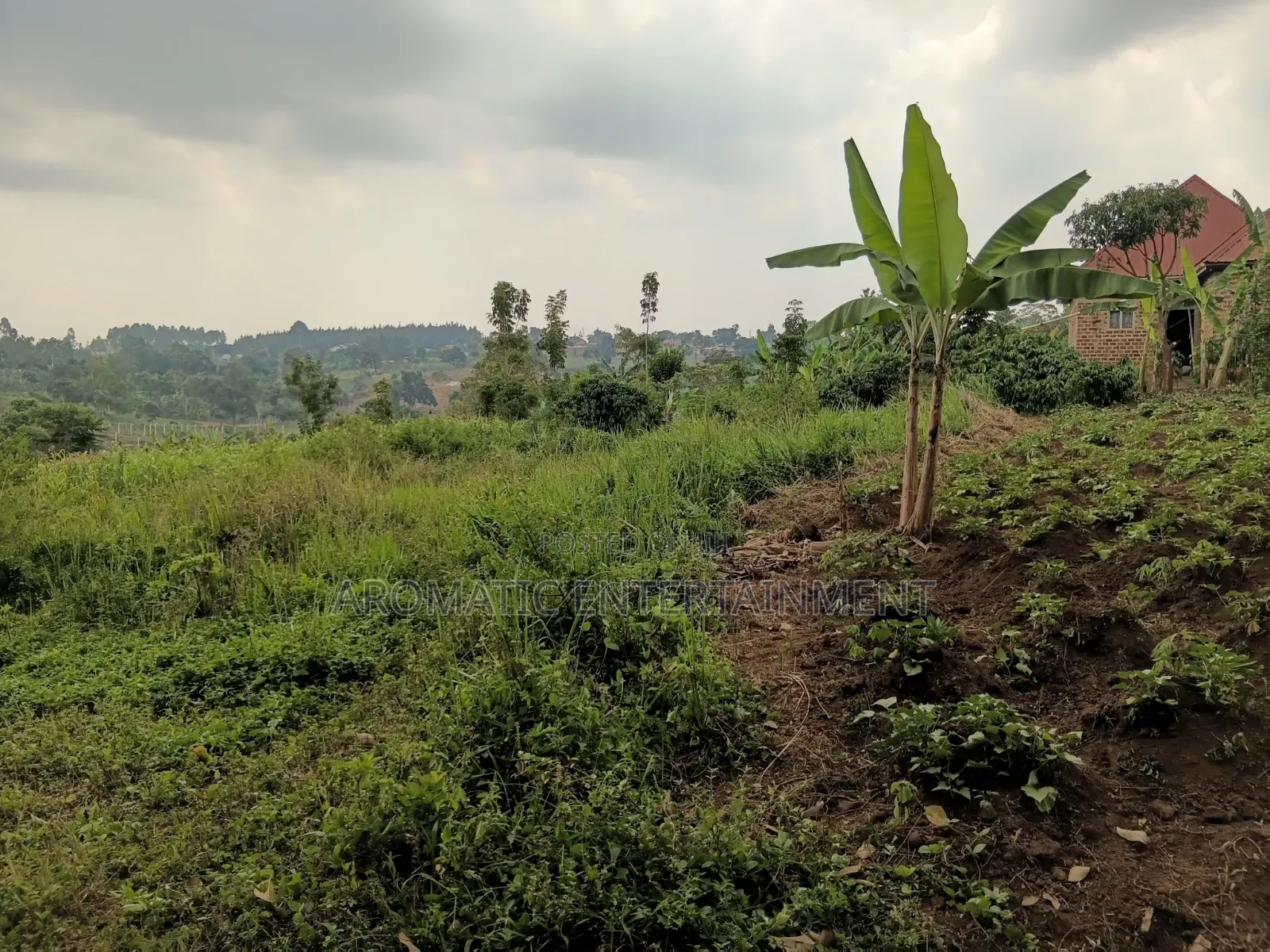 Gayaza Land for Sale