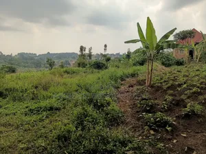 Gayaza Land for Sale