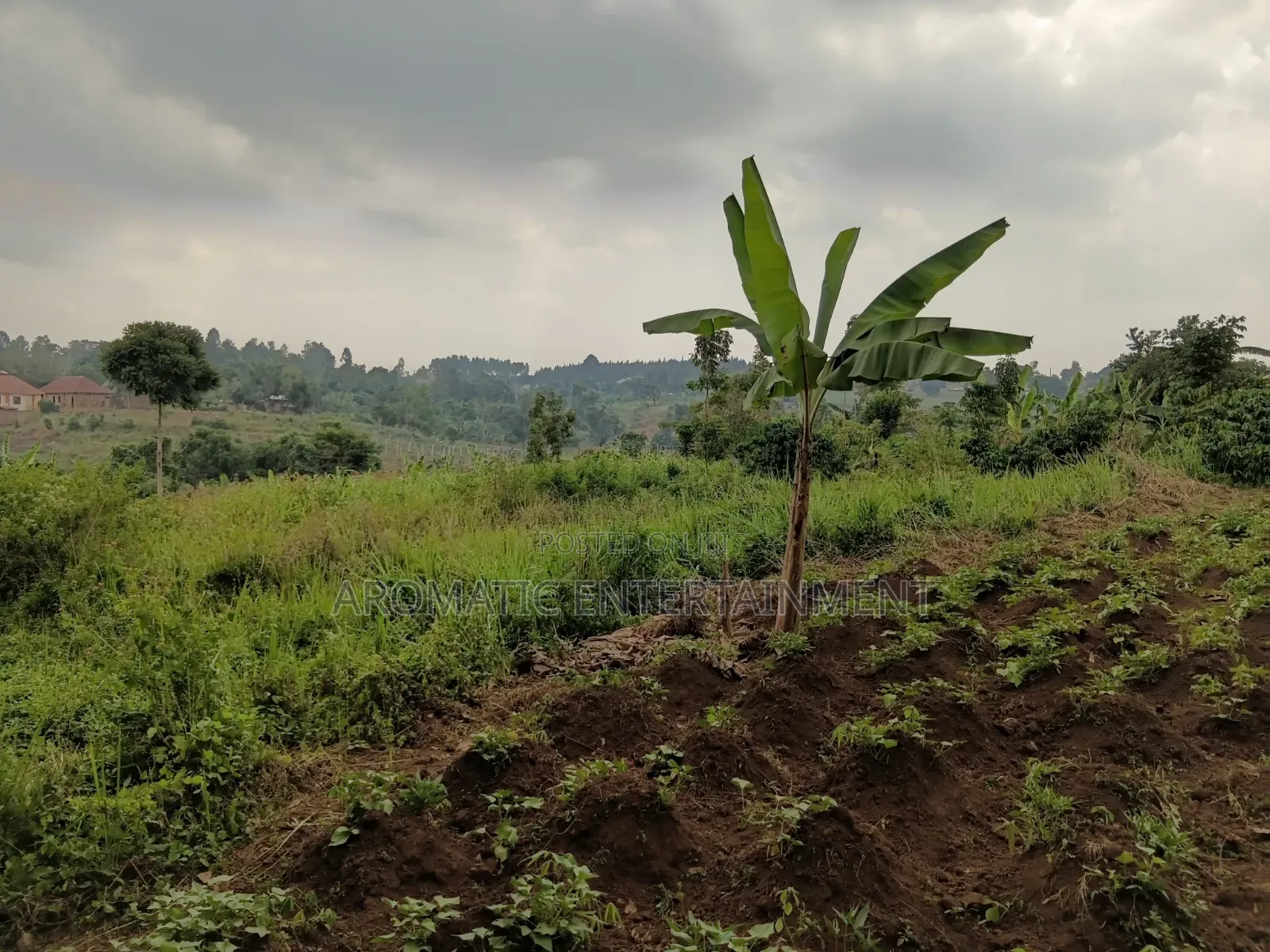 Gayaza Land for Sale