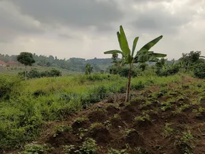 Gayaza Land for Sale