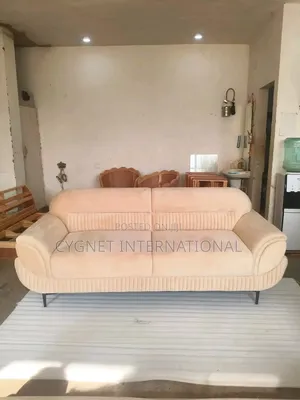 Ready to Take Two Seater Sofa Set