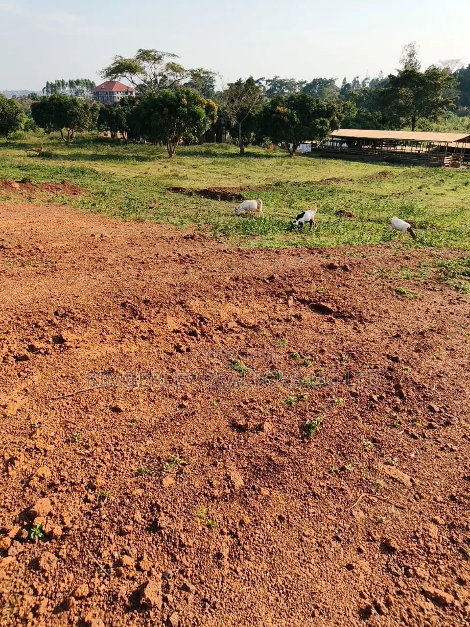 7 Acres for Sale – Luweero Wabigali (After Buzibwera)