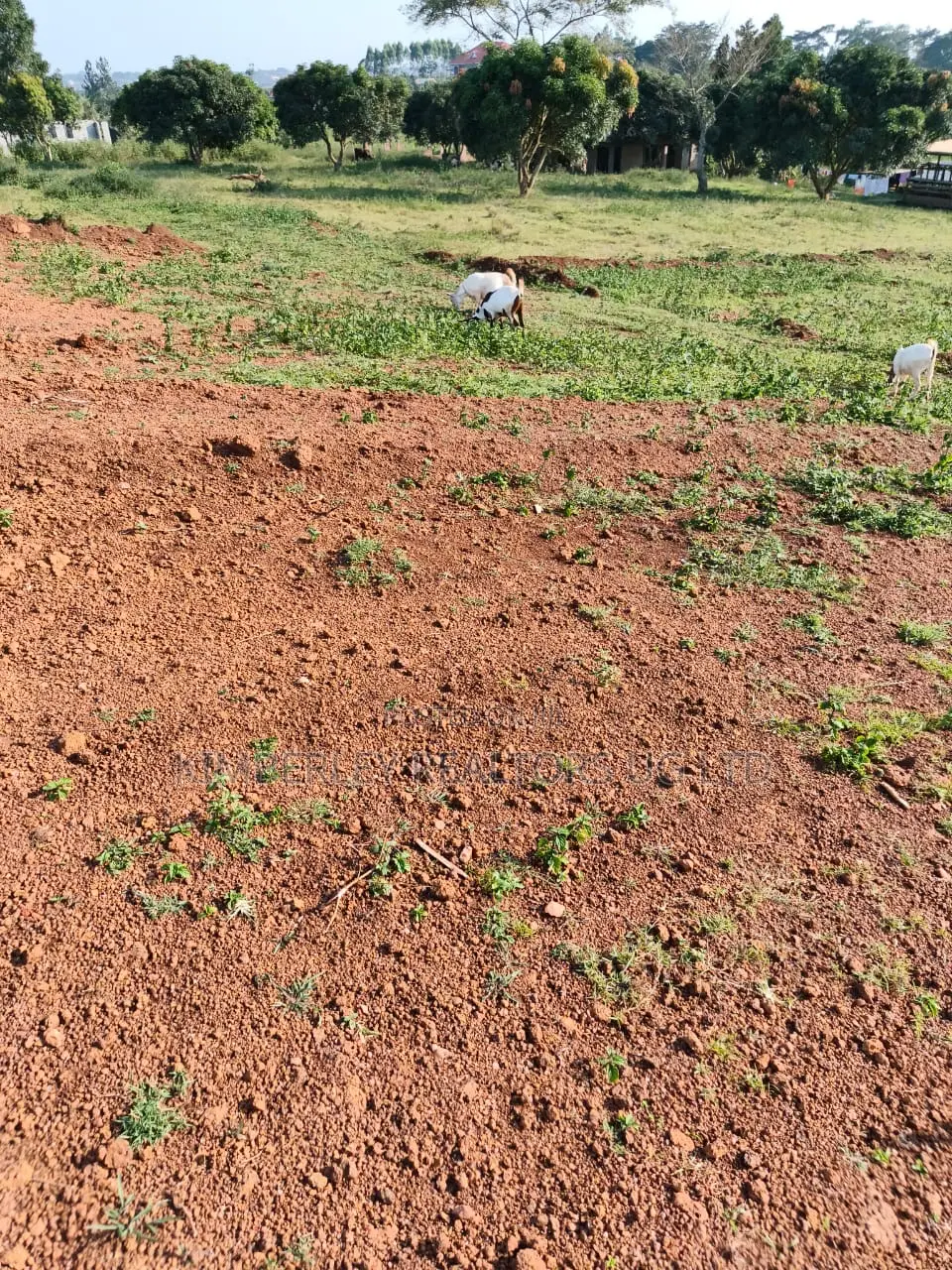 Commercial Land for Sale – Zigoti Nakitoro Town, Mityana Road