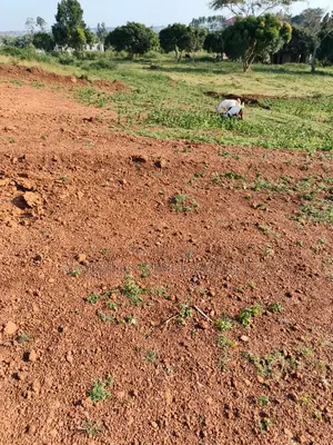Commercial Land for Sale – Zigoti Nakitoro Town, Mityana Road