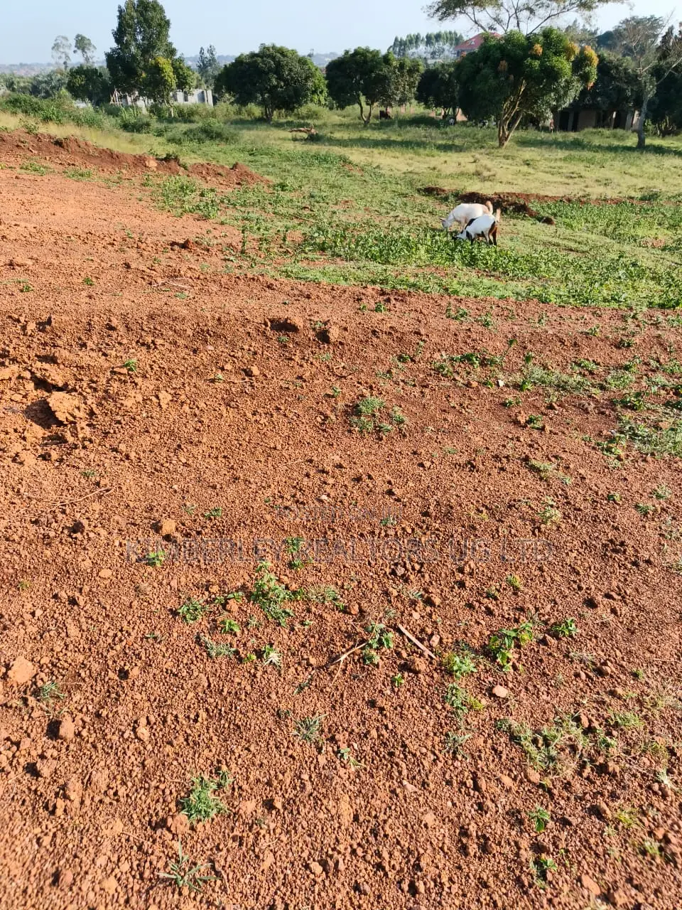 Commercial Land for Sale – Zigoti Nakitoro Town, Mityana Road