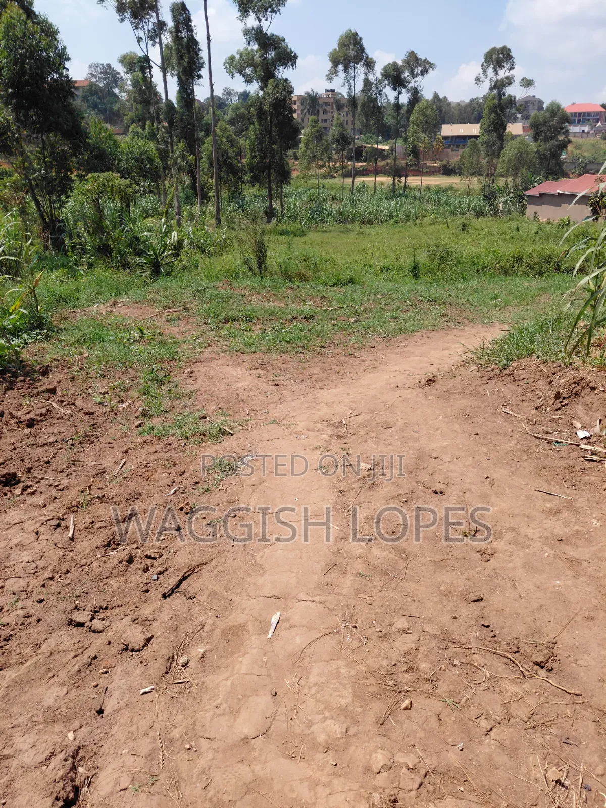 Land for Sale With Genuine Title