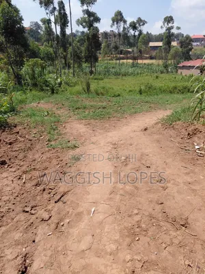Land for Sale With Genuine Title