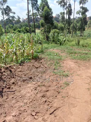 Land for Sale With Genuine Title