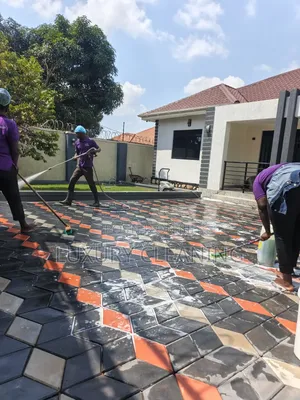 Pavers Deep Cleaning