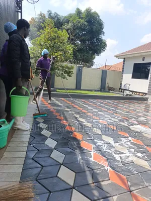 Pavers Deep Cleaning