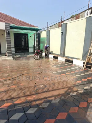 Pavers Deep Cleaning