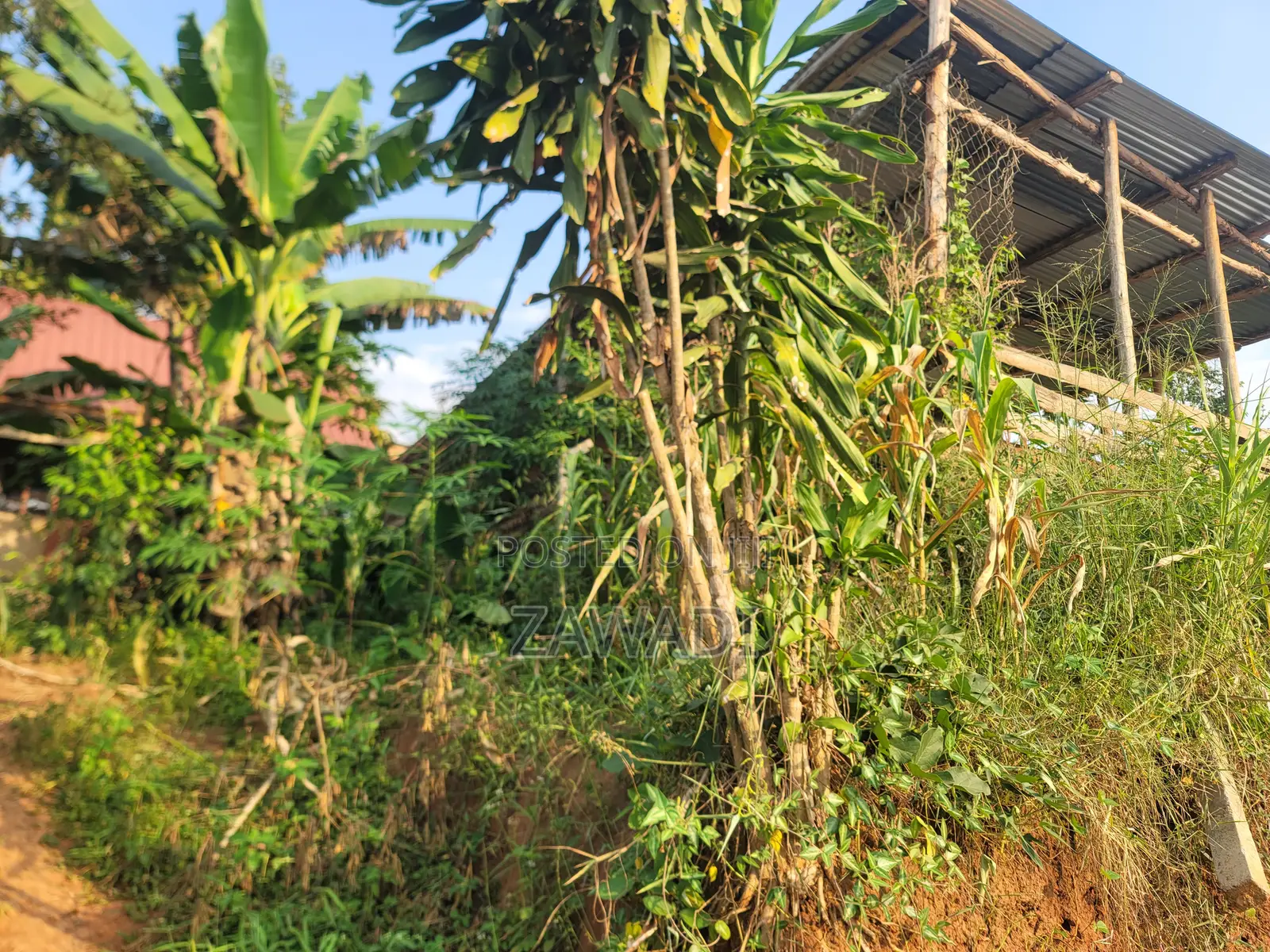 1bdrm House in Nama for sale
