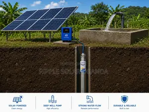 4000w Solar Borehole Water Pump 280m Head AC/Dc 12000l/H