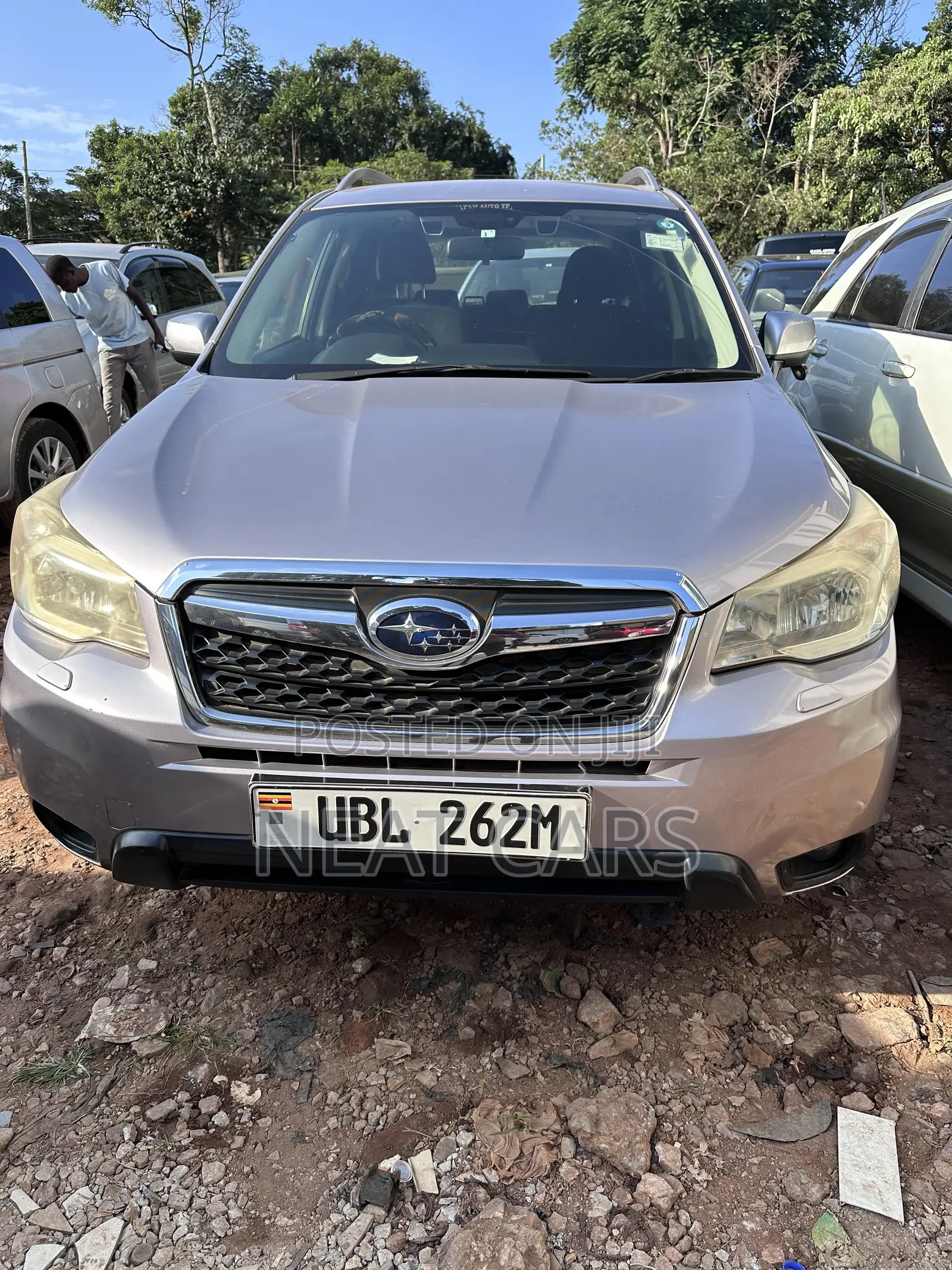Subaru Forester 2014 Gray