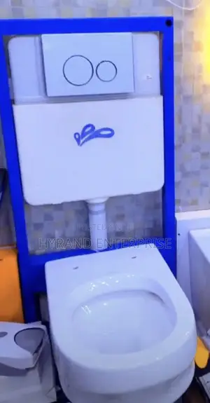 Concealed Toilets