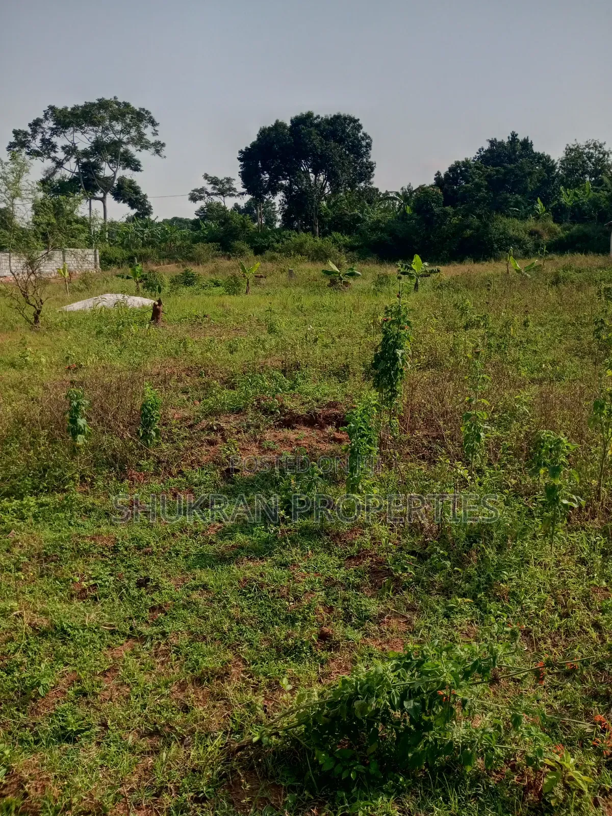 Lake View Plot for Sale