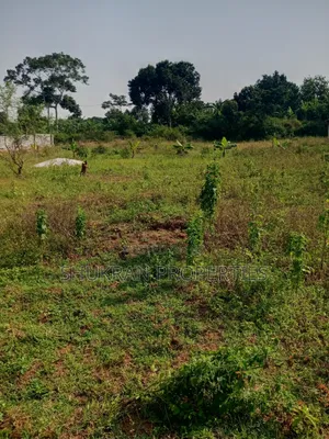 Lake View Plot for Sale
